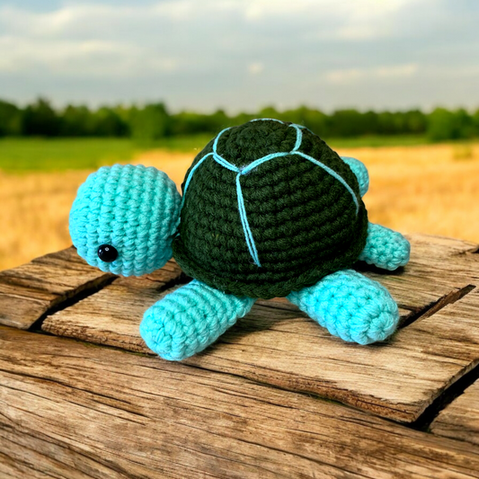 🐢 Meadow Explorer Turtle